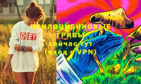 стафф Абинск