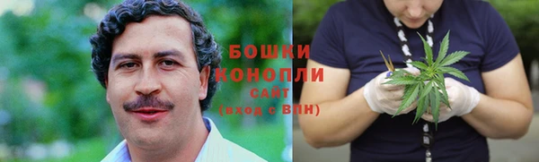 apvp Рославль