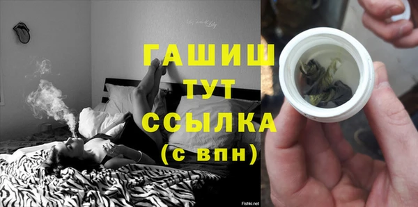хмурый Абаза