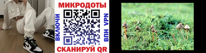 Галлюциногенные грибы мухоморы наркотики Задонск